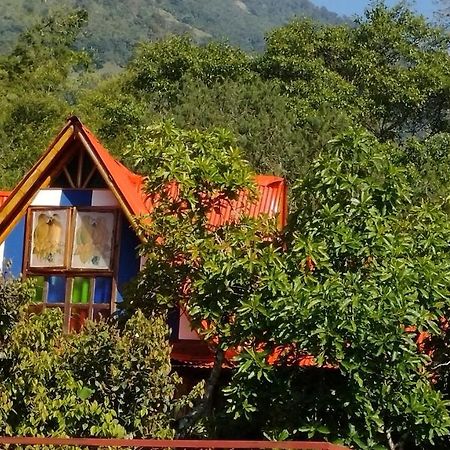 Hospedaje Rural Tupinamba Ibagué Kültér fotó